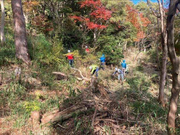 �����̗l�q(�ʐ^)