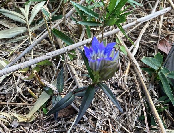 �����̗l�q(�ʐ^)