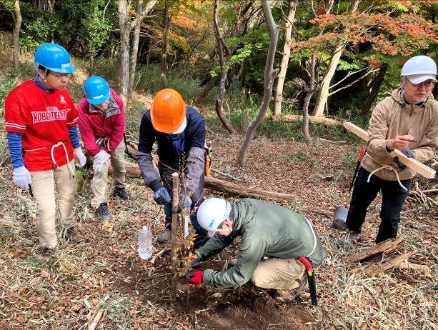 �����̗l�q(�ʐ^)