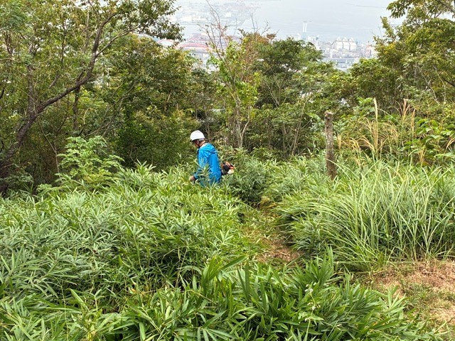 �����̗l�q(�ʐ^)