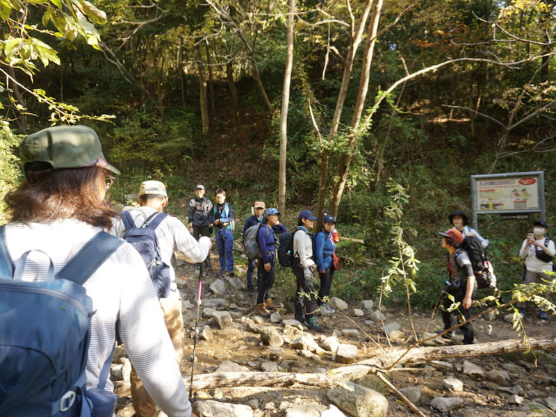 �����̗l�q(�ʐ^)