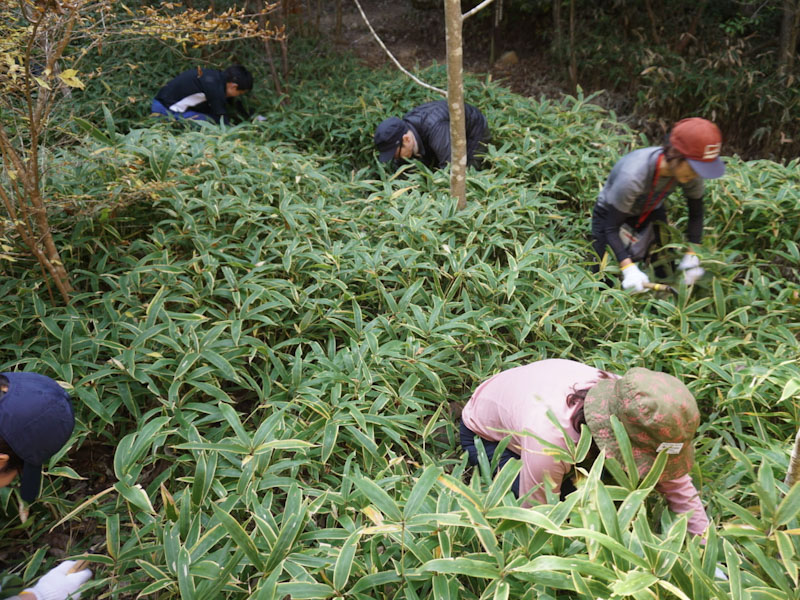 �����̗l�q(�ʐ^)