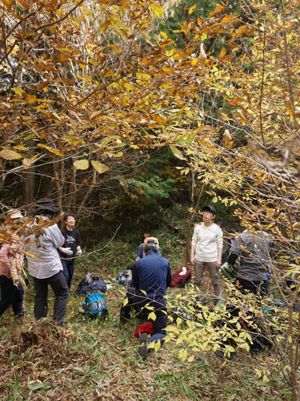 �����̗l�q(�ʐ^)