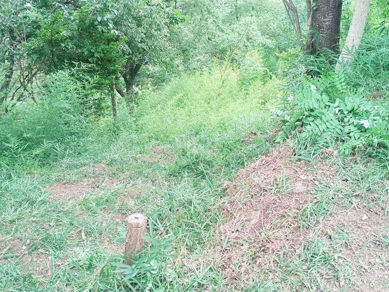 ̗lq(ʐ^)