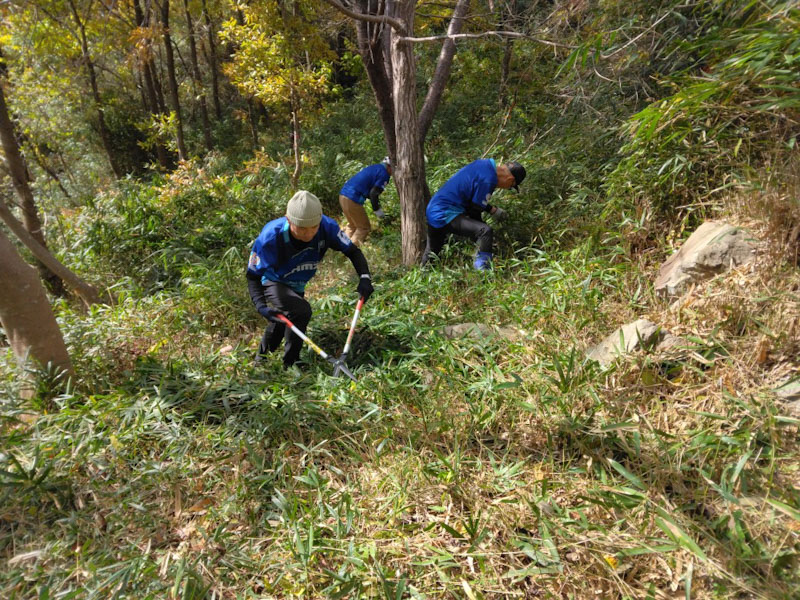 �����̗l�q(�ʐ^)