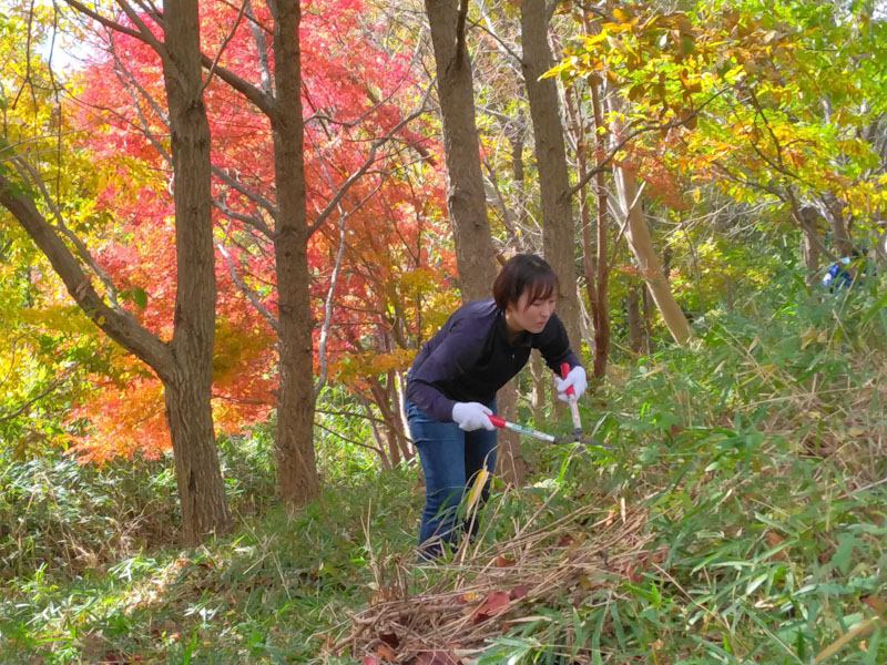 �����̗l�q(�ʐ^)