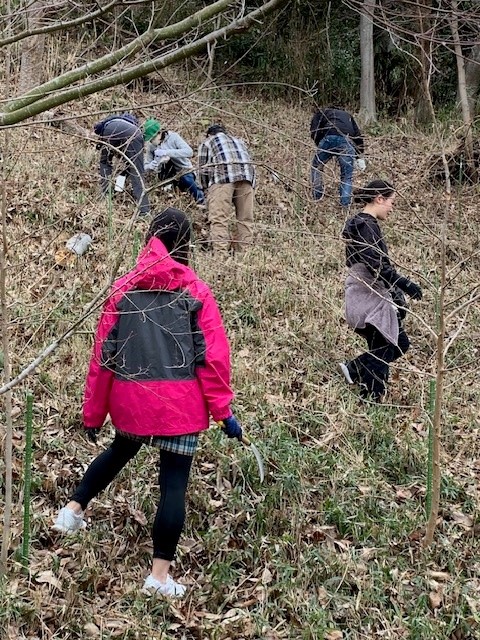 �����̗l�q(�ʐ^)