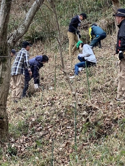 �����̗l�q(�ʐ^)