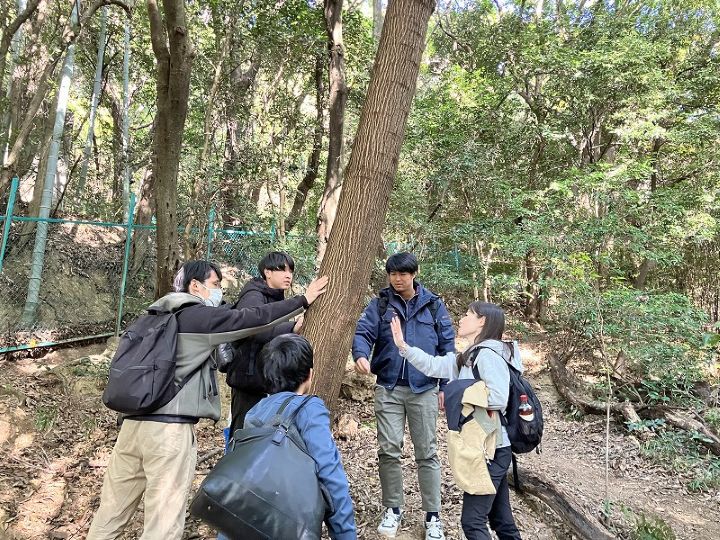 �����̗l�q(�ʐ^)