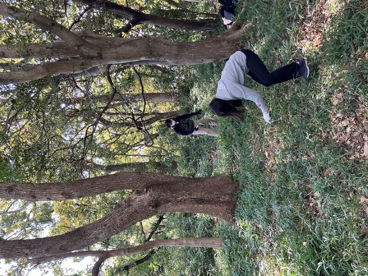 �����̗l�q(�ʐ^)