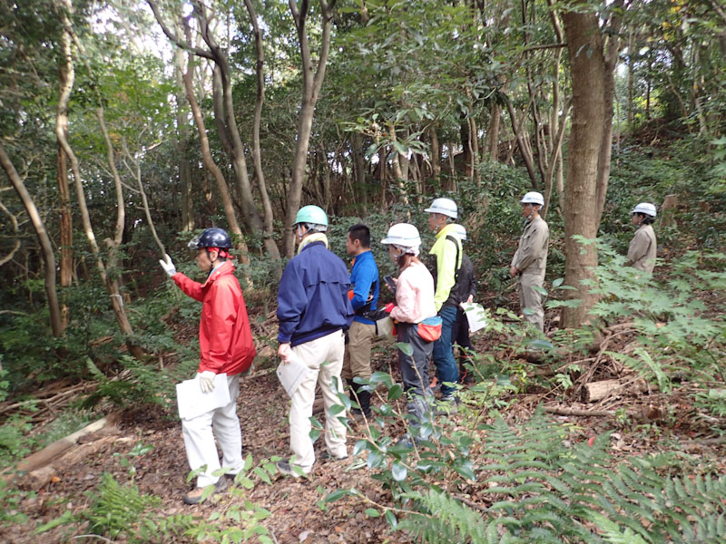 �����̗l�q(�ʐ^)