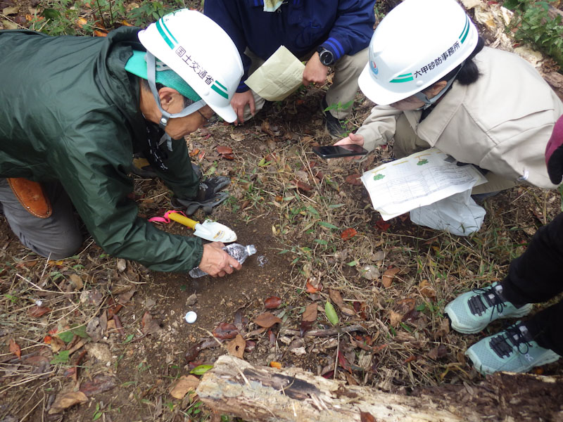 �����̗l�q(�ʐ^)