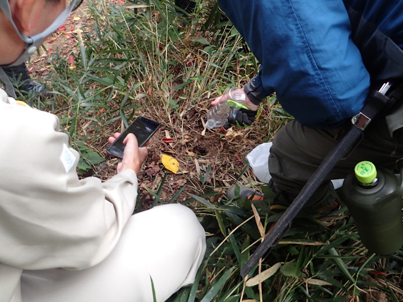 �����̗l�q(�ʐ^)