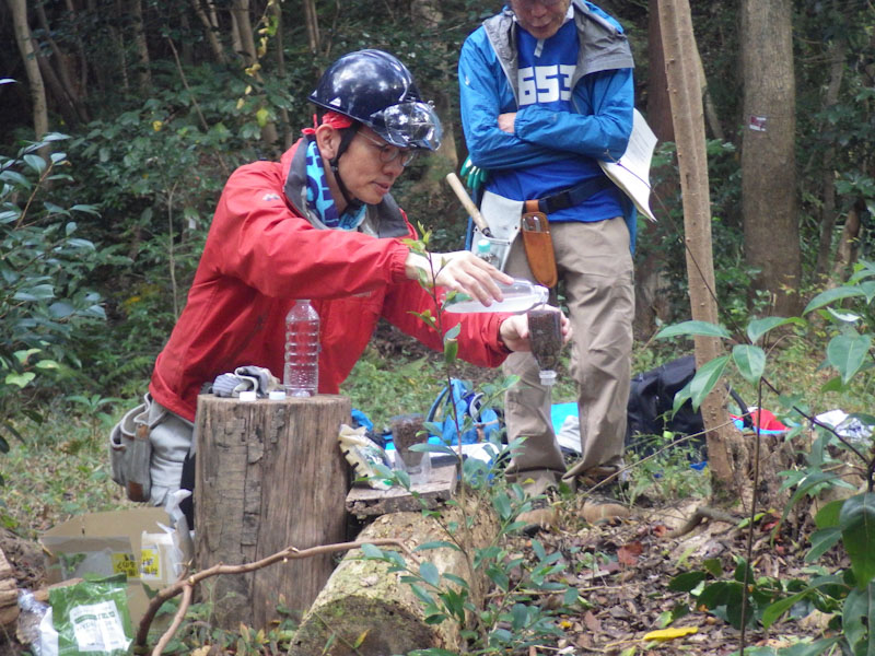 �����̗l�q(�ʐ^)