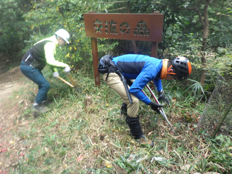 �����̗l�q(�ʐ^)