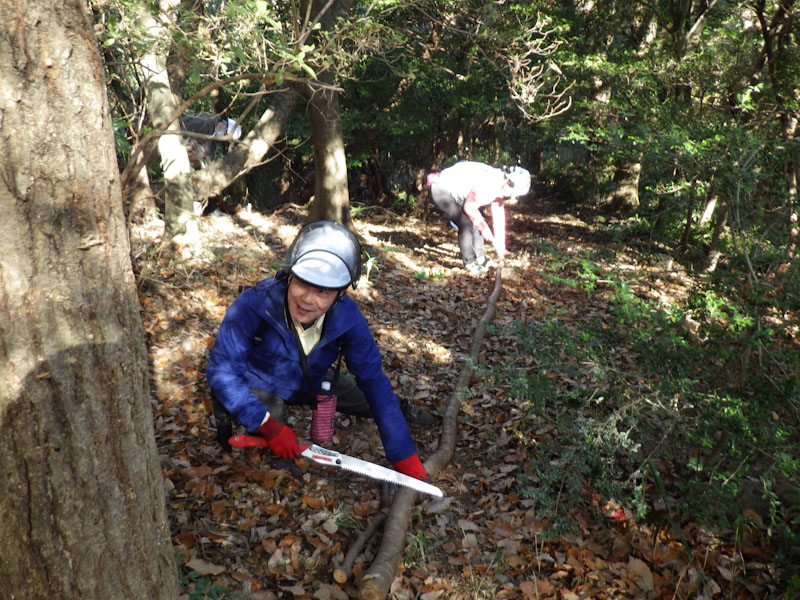 �����̗l�q(�ʐ^)