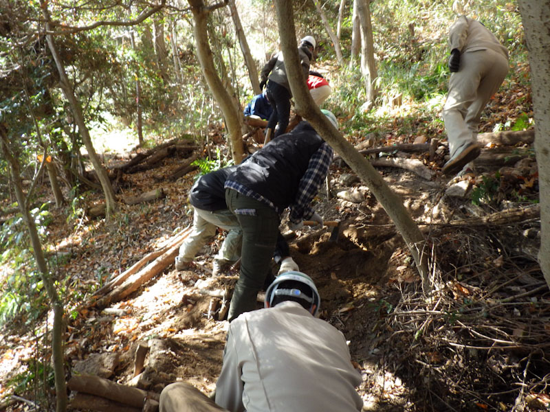 �����̗l�q(�ʐ^)