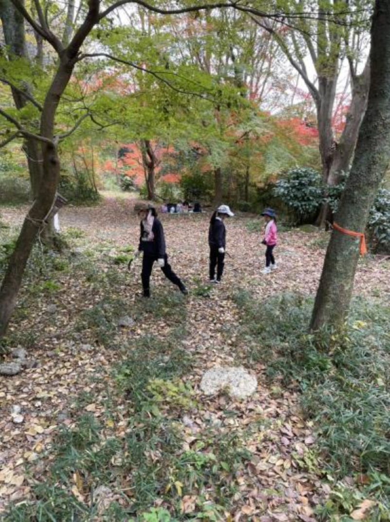 �����̗l�q(�ʐ^)