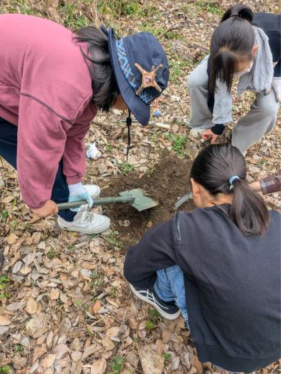 �����̗l�q(�ʐ^)