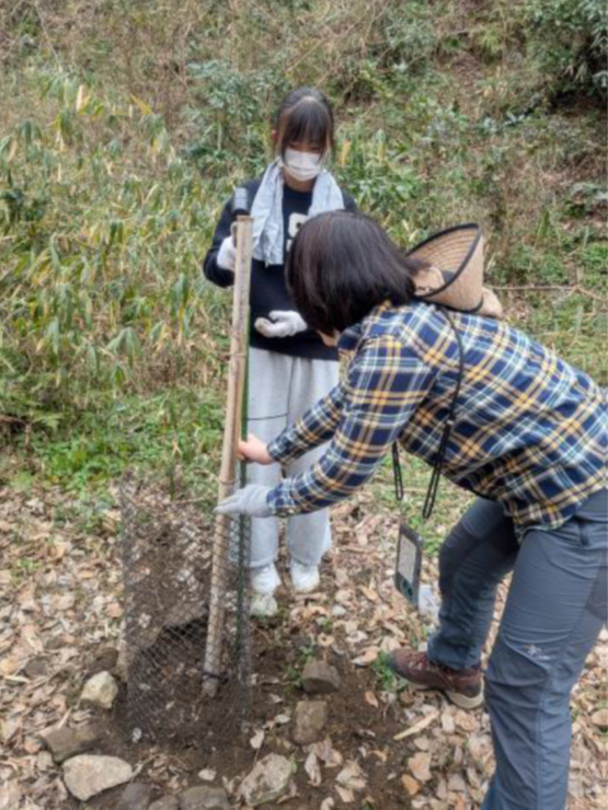 �����̗l�q(�ʐ^)