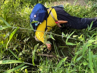 活動の様子(写真)