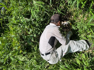 活動の様子(写真)