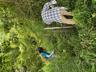 活動の様子(写真)