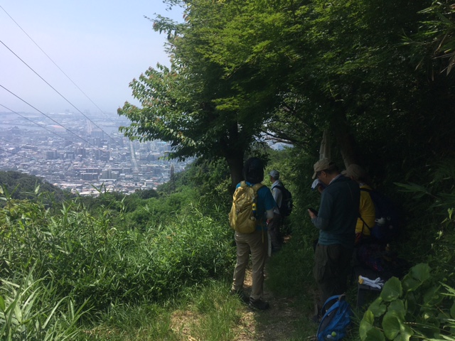 活動の様子(写真)