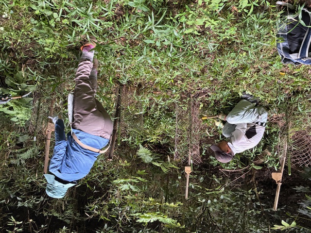 活動の様子(写真)