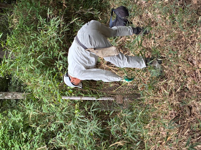 活動の様子(写真)