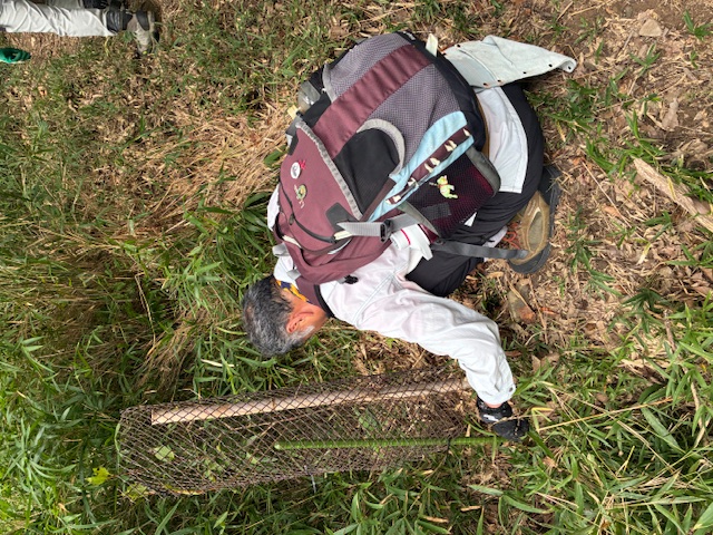 活動の様子(写真)