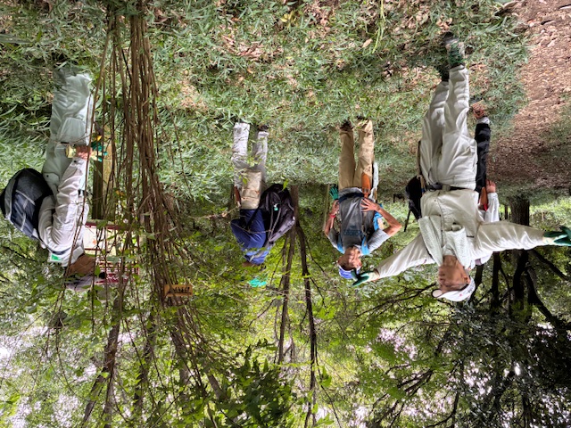 活動の様子(写真)