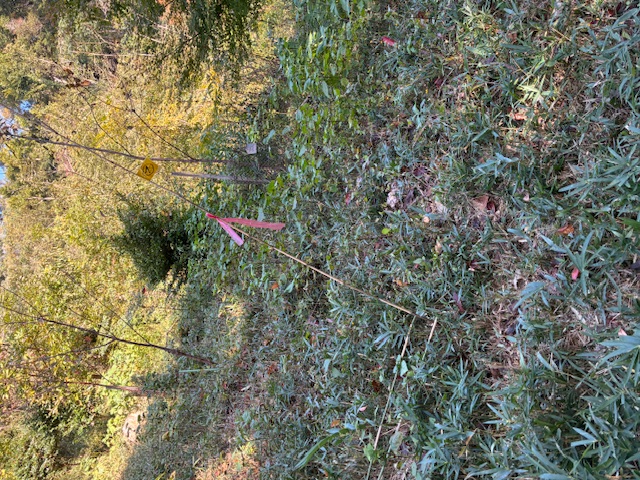 �����̗l�q(�ʐ^)