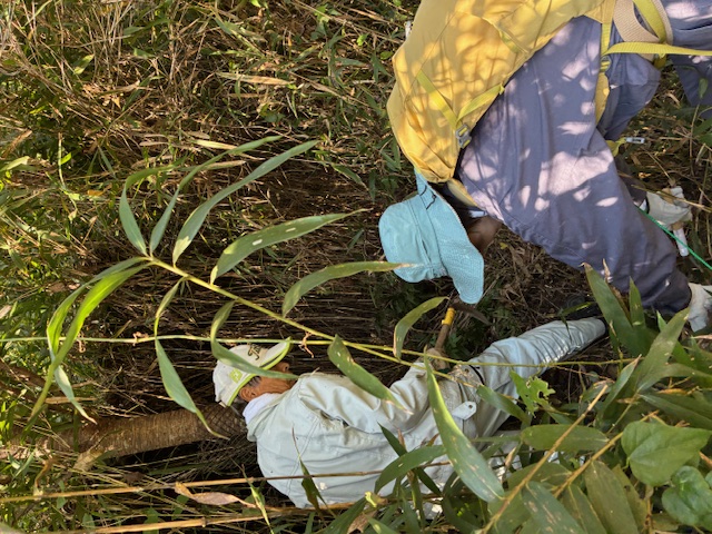 �����̗l�q(�ʐ^)