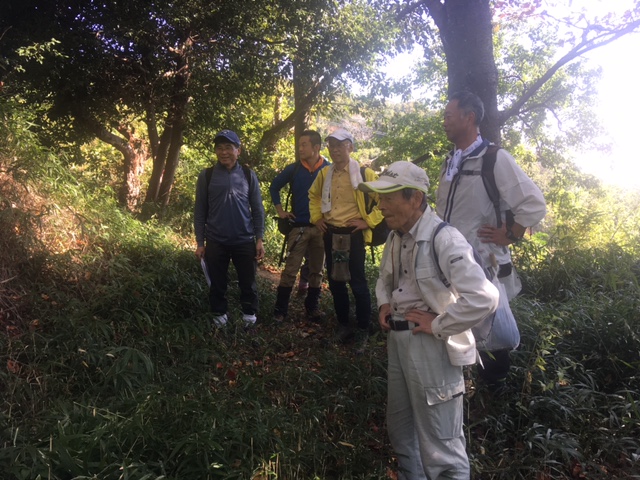 �����̗l�q(�ʐ^)