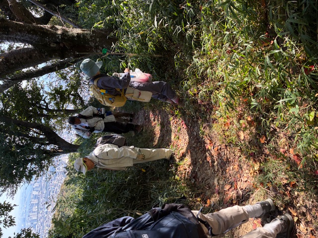 �����̗l�q(�ʐ^)