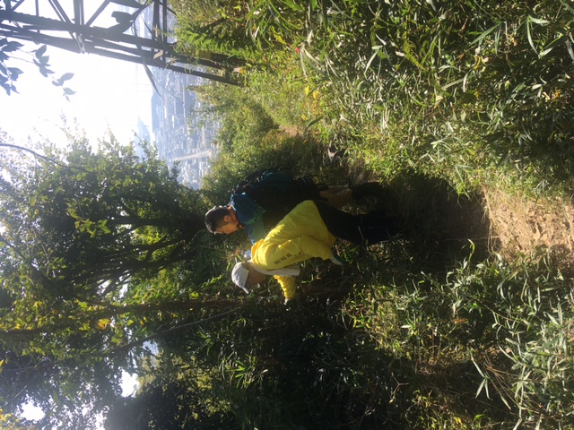 �����̗l�q(�ʐ^)