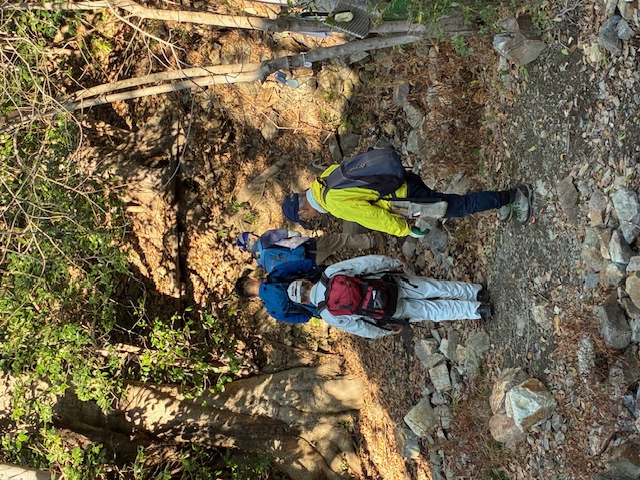 �����̗l�q(�ʐ^)