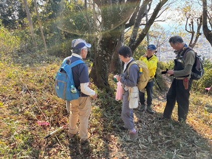 �����̗l�q(�ʐ^)