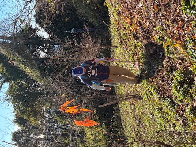 �����̗l�q(�ʐ^)