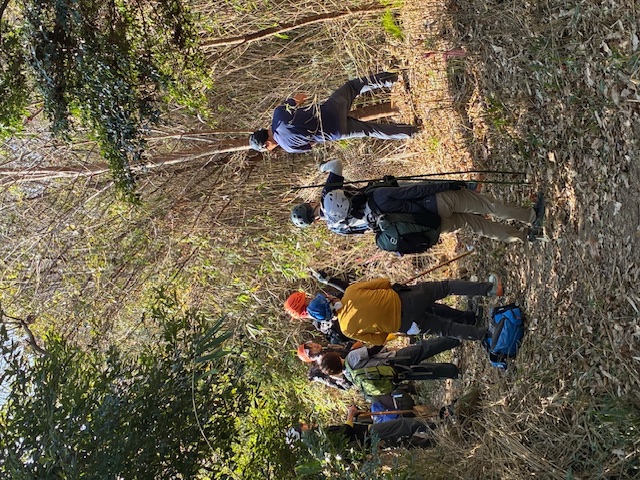 �����̗l�q(�ʐ^)