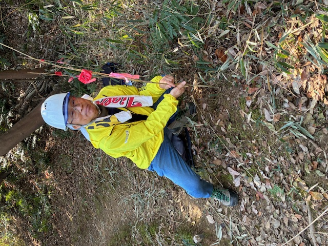 �����̗l�q(�ʐ^)