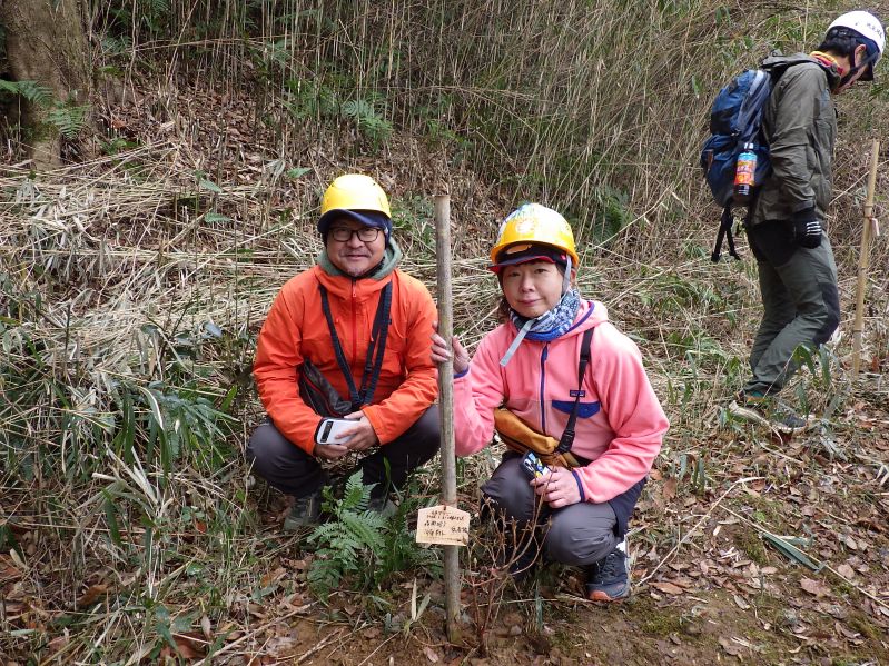 �����̗l�q(�ʐ^)