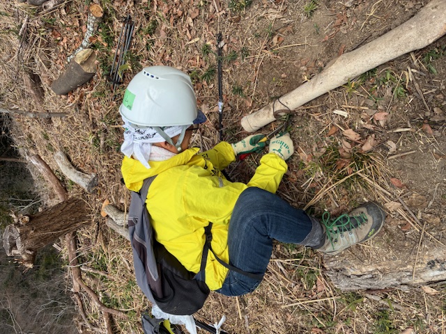 �����̗l�q(�ʐ^)