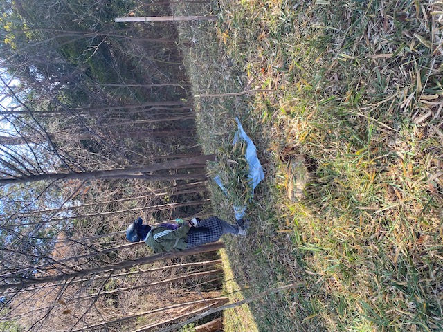 �����̗l�q(�ʐ^)