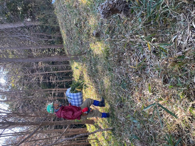 �����̗l�q(�ʐ^)