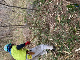 �����̗l�q(�ʐ^)