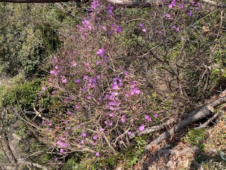 �����̗l�q(�ʐ^)