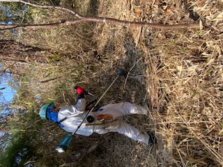 �����̗l�q(�ʐ^)