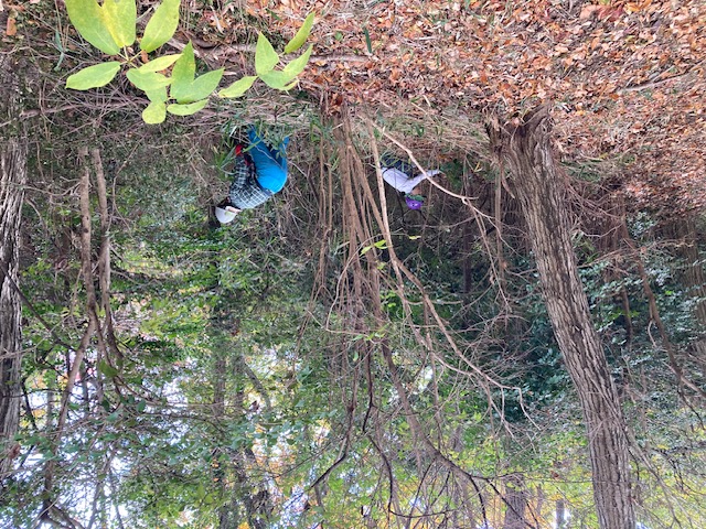 �����̗l�q(�ʐ^)